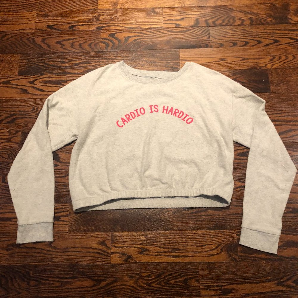 Aerie Crop Sweater